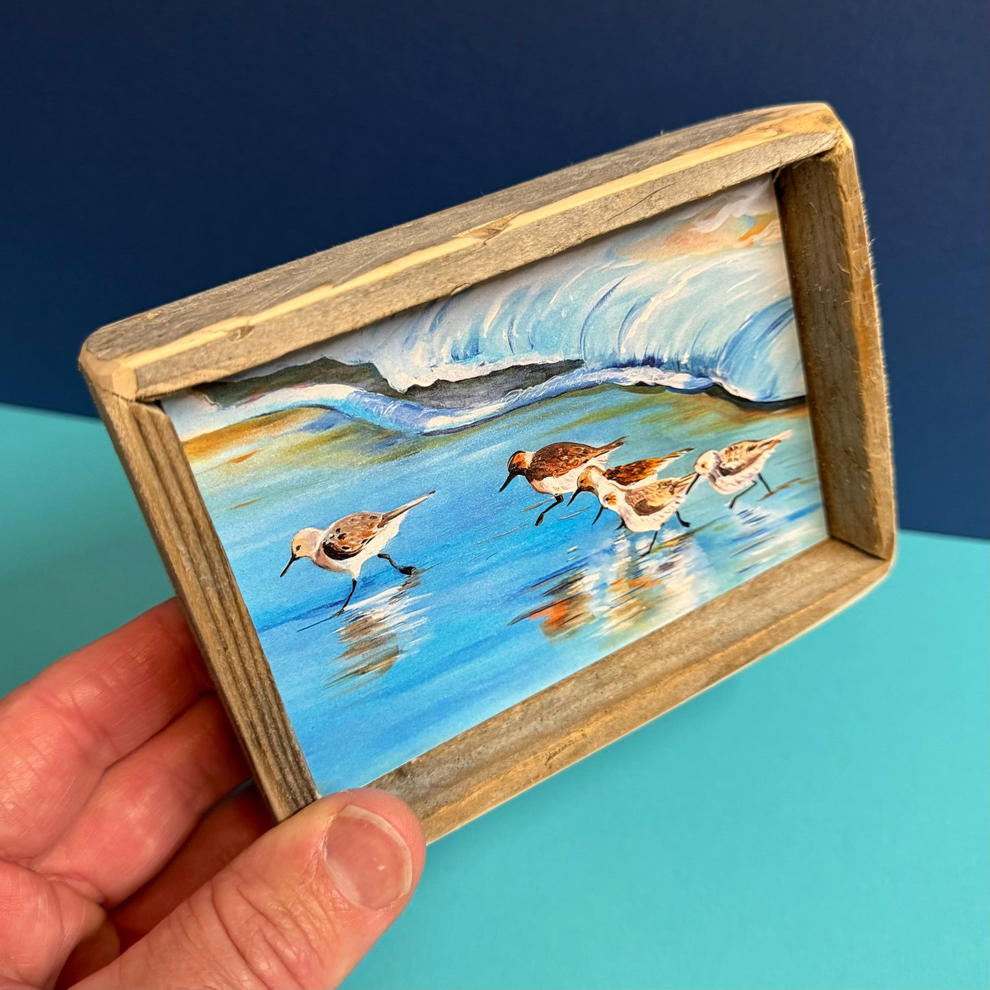 Box Frame Mini - Medium "Shore Birds" - 2