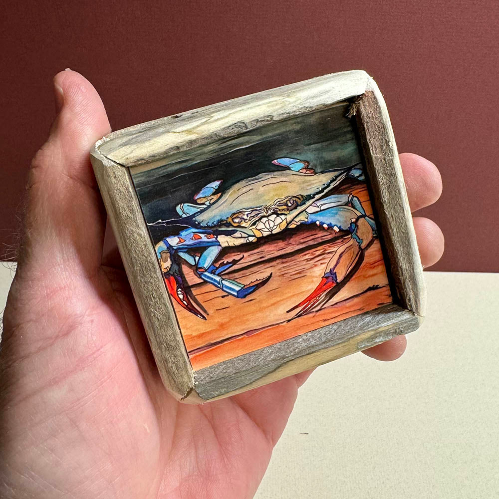 Box Frame Mini - Small "Blue Crab"