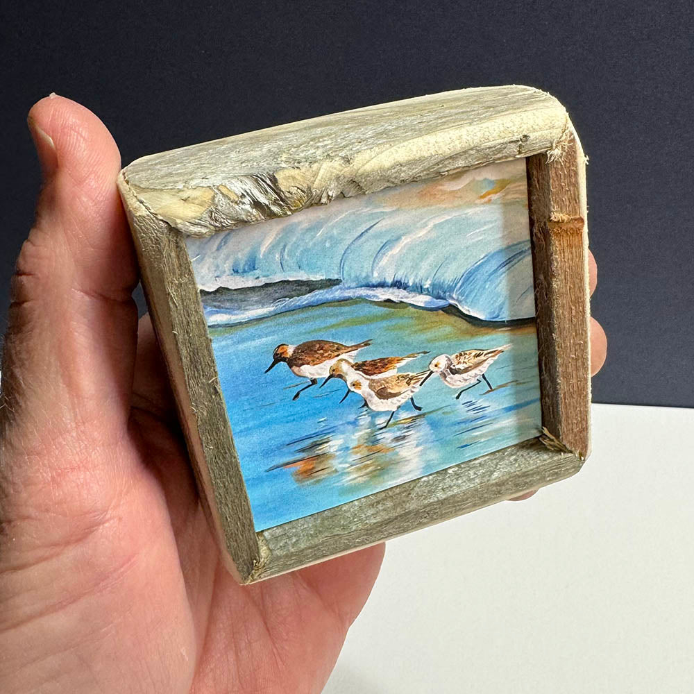 Box Frame Mini - Small "Shorebirds"
