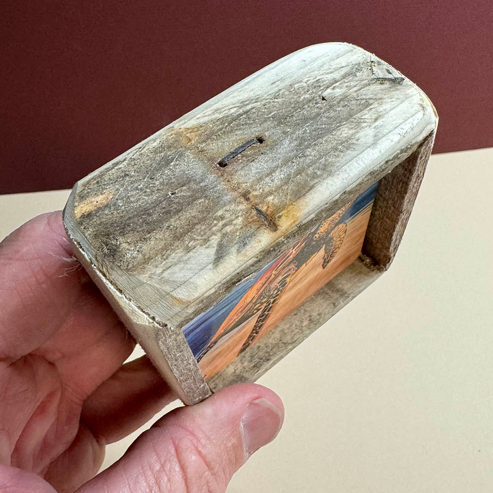 Box Frame Mini - Small "Turtle In Clear Water"