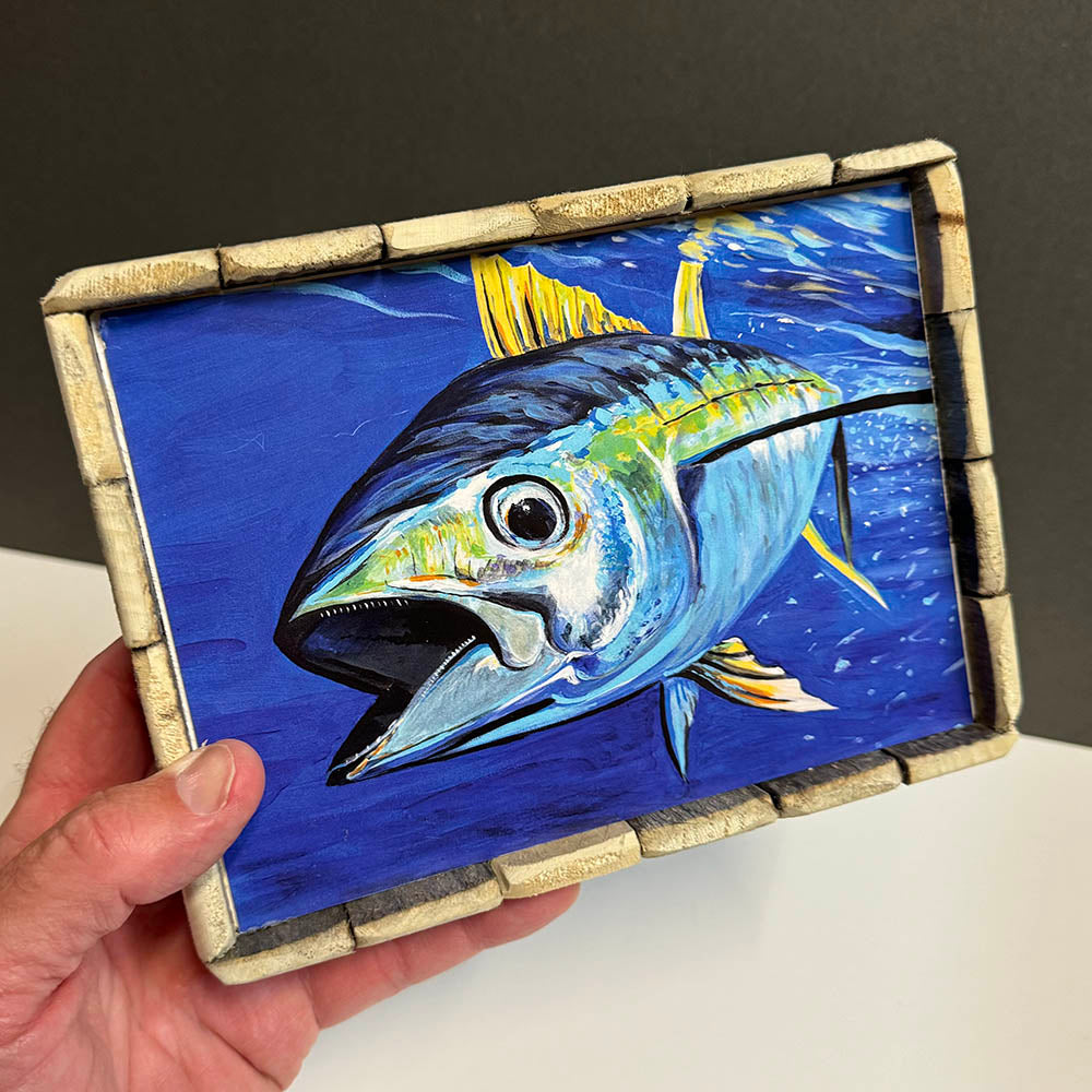 Box Frame Mini - Large: "Yellowfin Tuna"