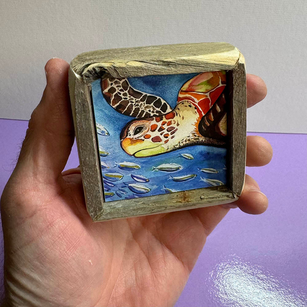 Box Frame Mini - Small "Sea Turtle with School of Fish"