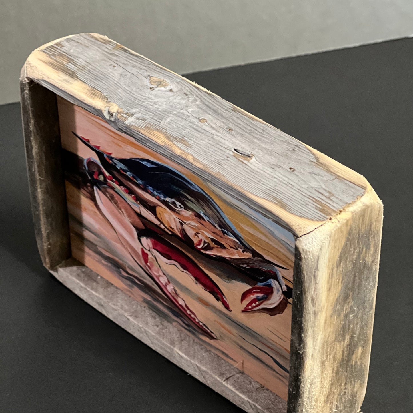 Box Frame Mini - Medium "Sanibel Crab"