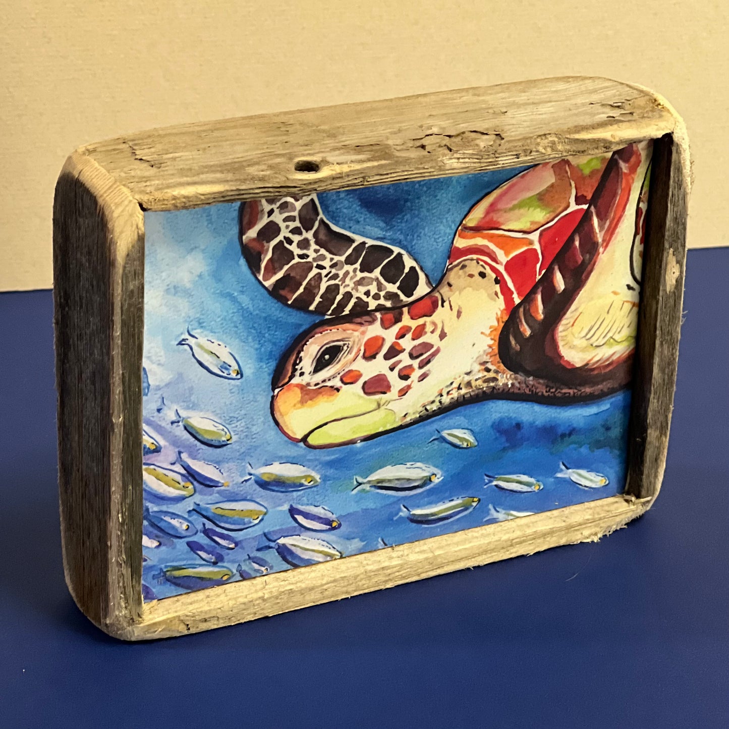 Box Frame Mini - Medium "Turtle with School of Fish"