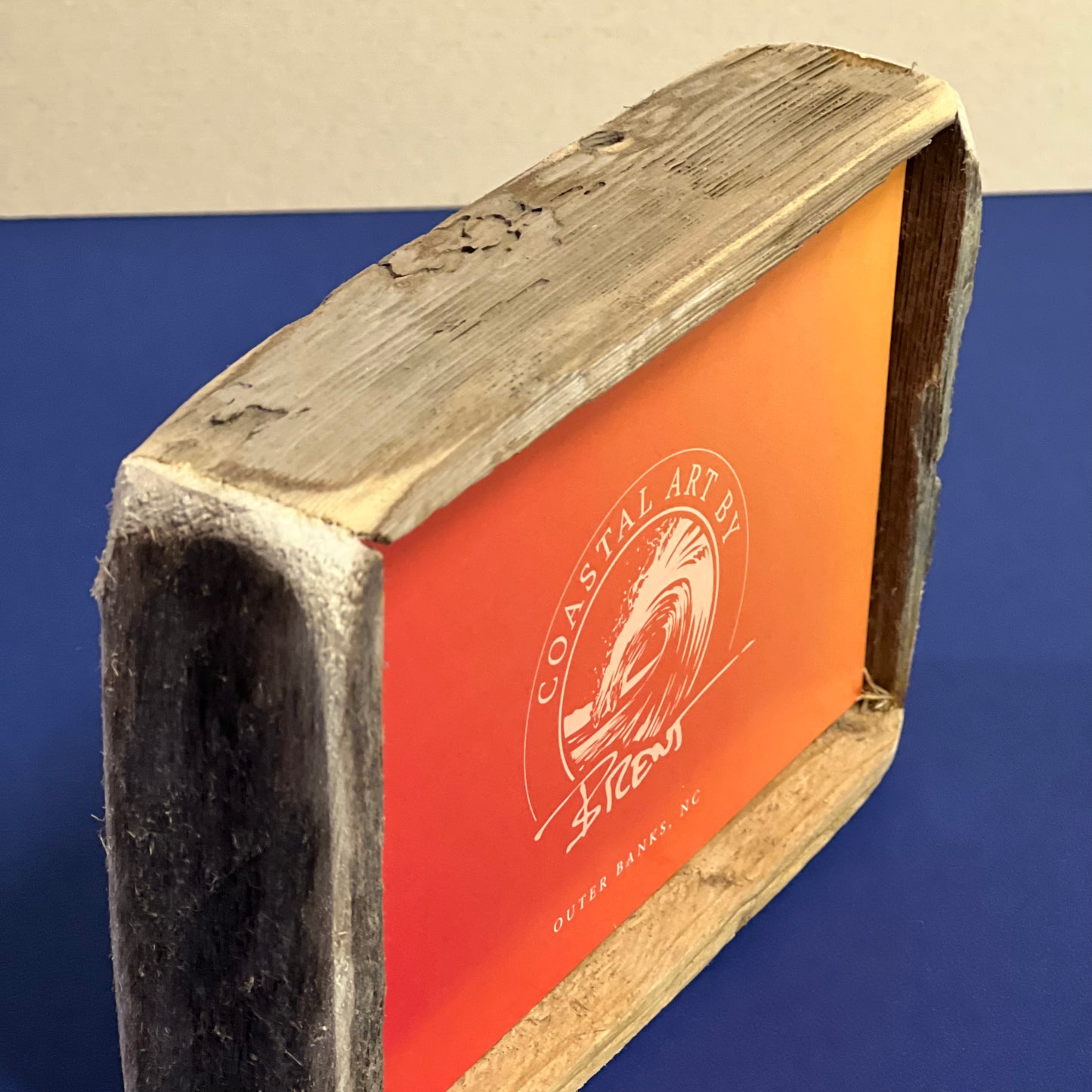 Box Frame Mini - Medium "Turtle with School of Fish"