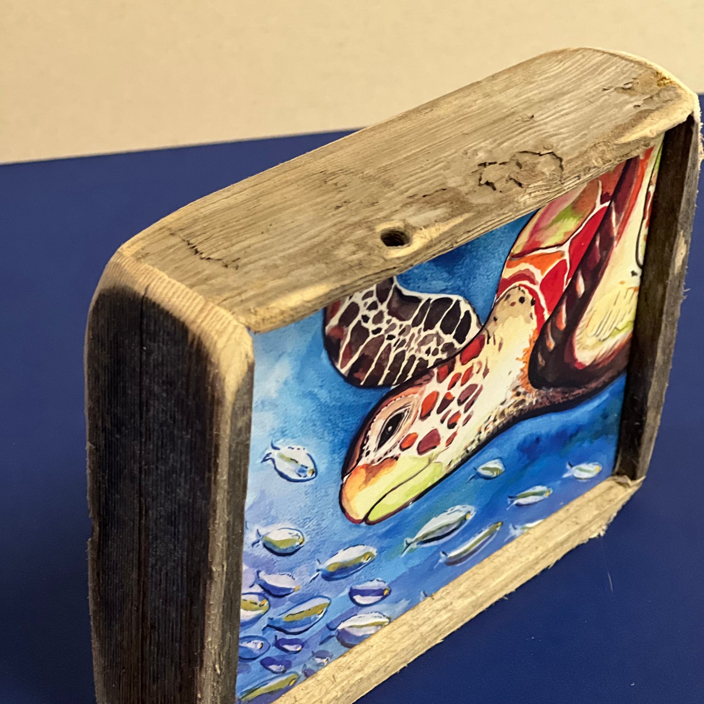 Box Frame Mini - Medium "Turtle with School of Fish"