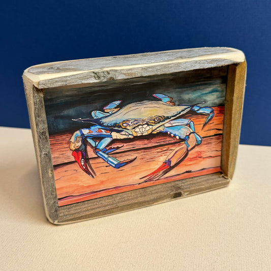 Box Frame Mini - Medium "Blue Crab"