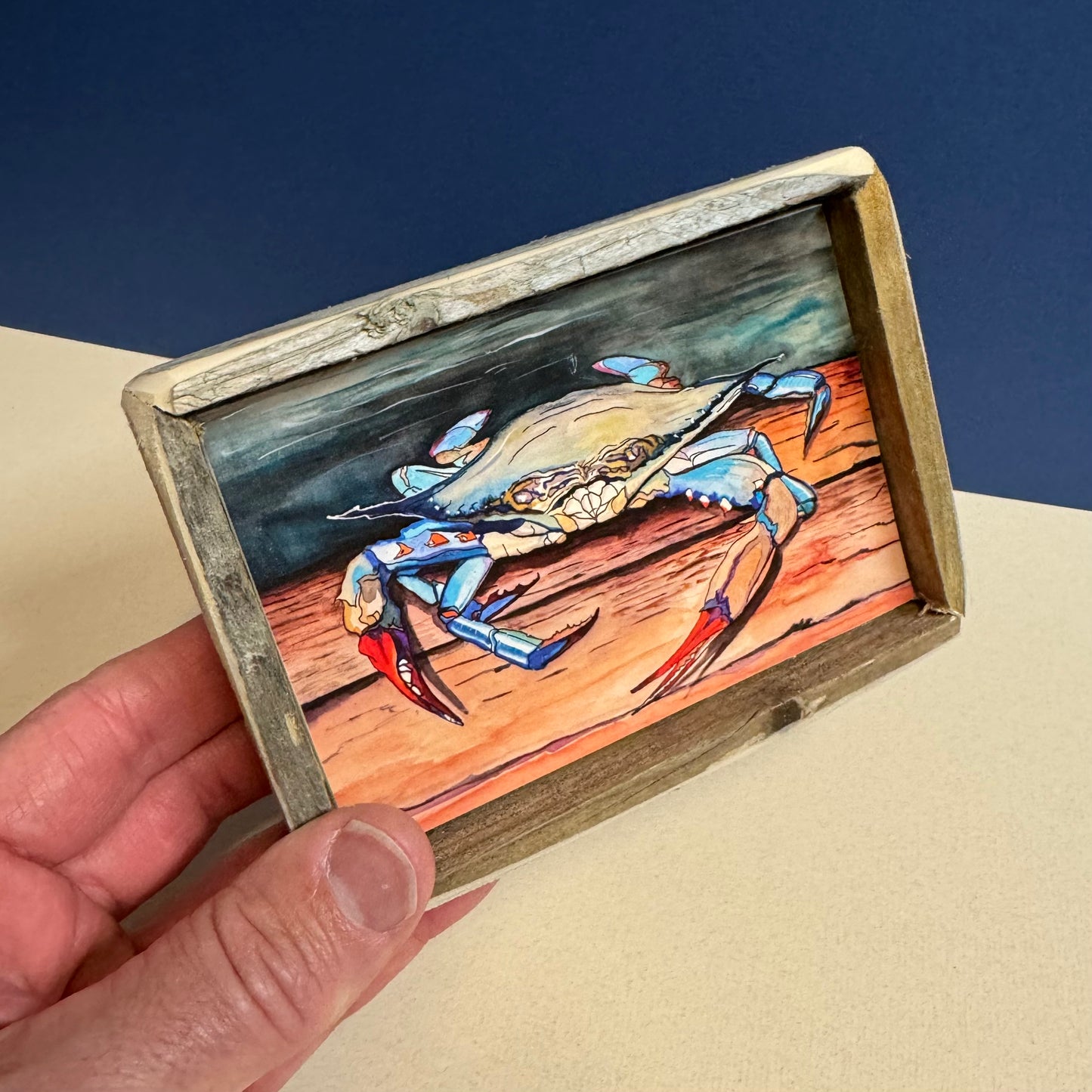 Box Frame Mini - Medium "Blue Crab"