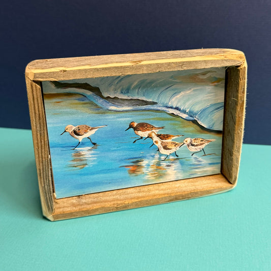 Box Frame Mini - Medium "Shore Birds" - 2