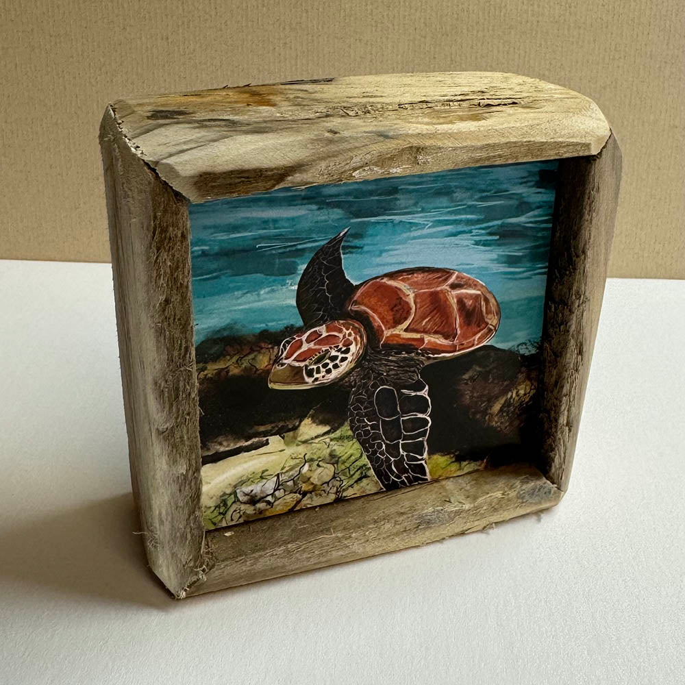 Box Frame Mini - Small "Turtle Over Reef"