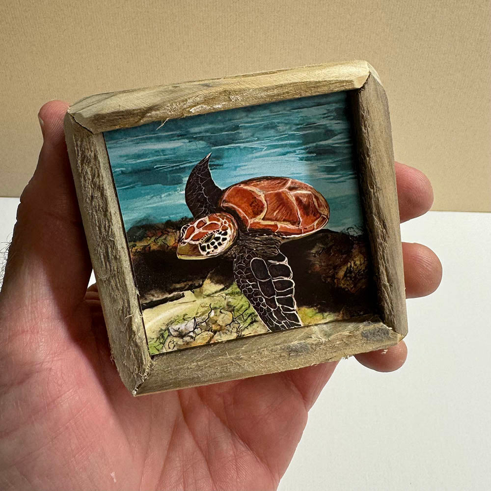 Box Frame Mini - Small "Turtle Over Reef"