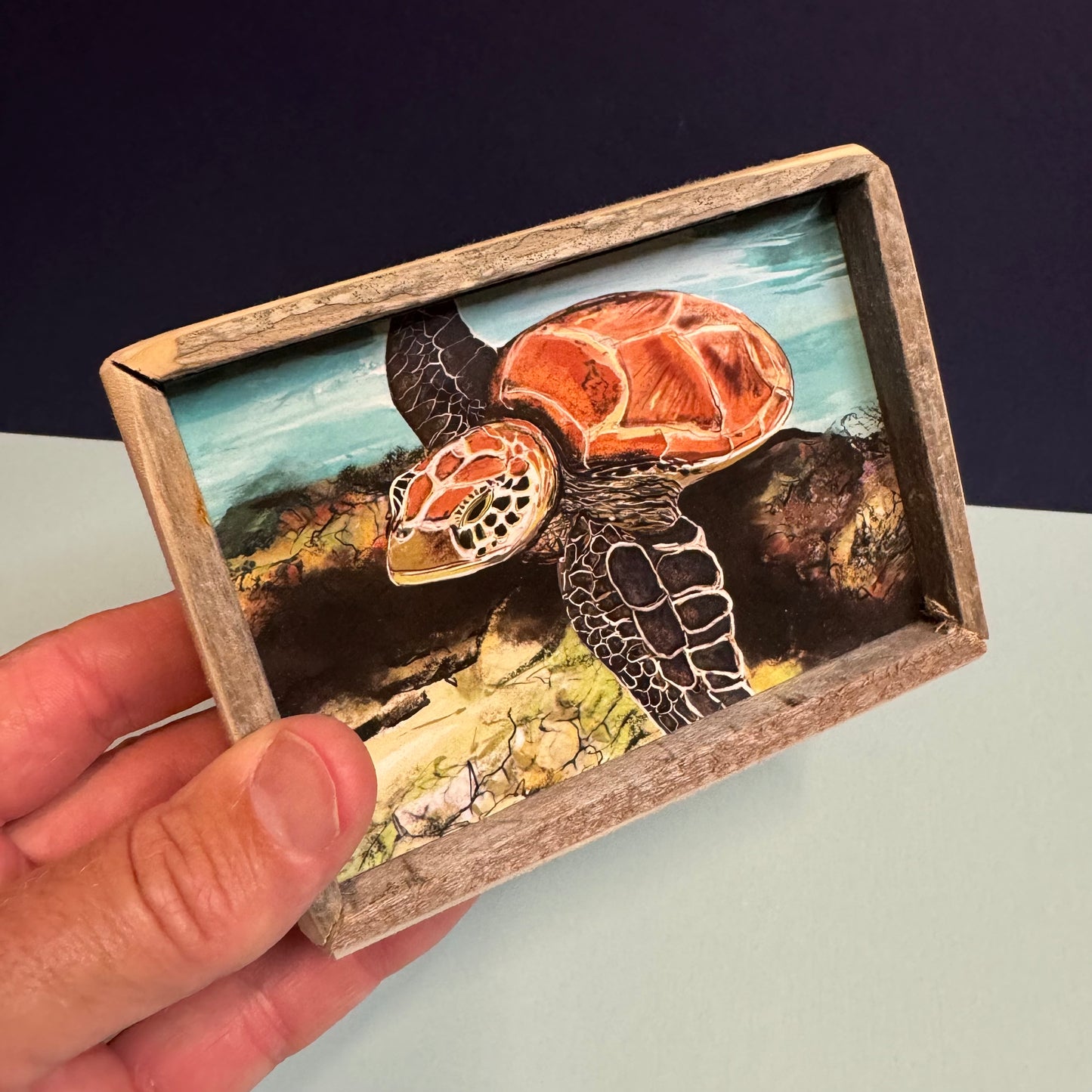 Box Frame Mini - Medium "Turtle Over Reef"