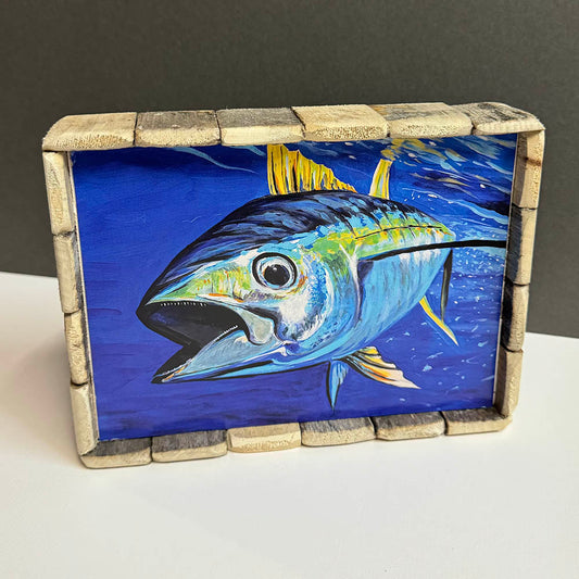 Box Frame Mini - Large: "Yellowfin Tuna"