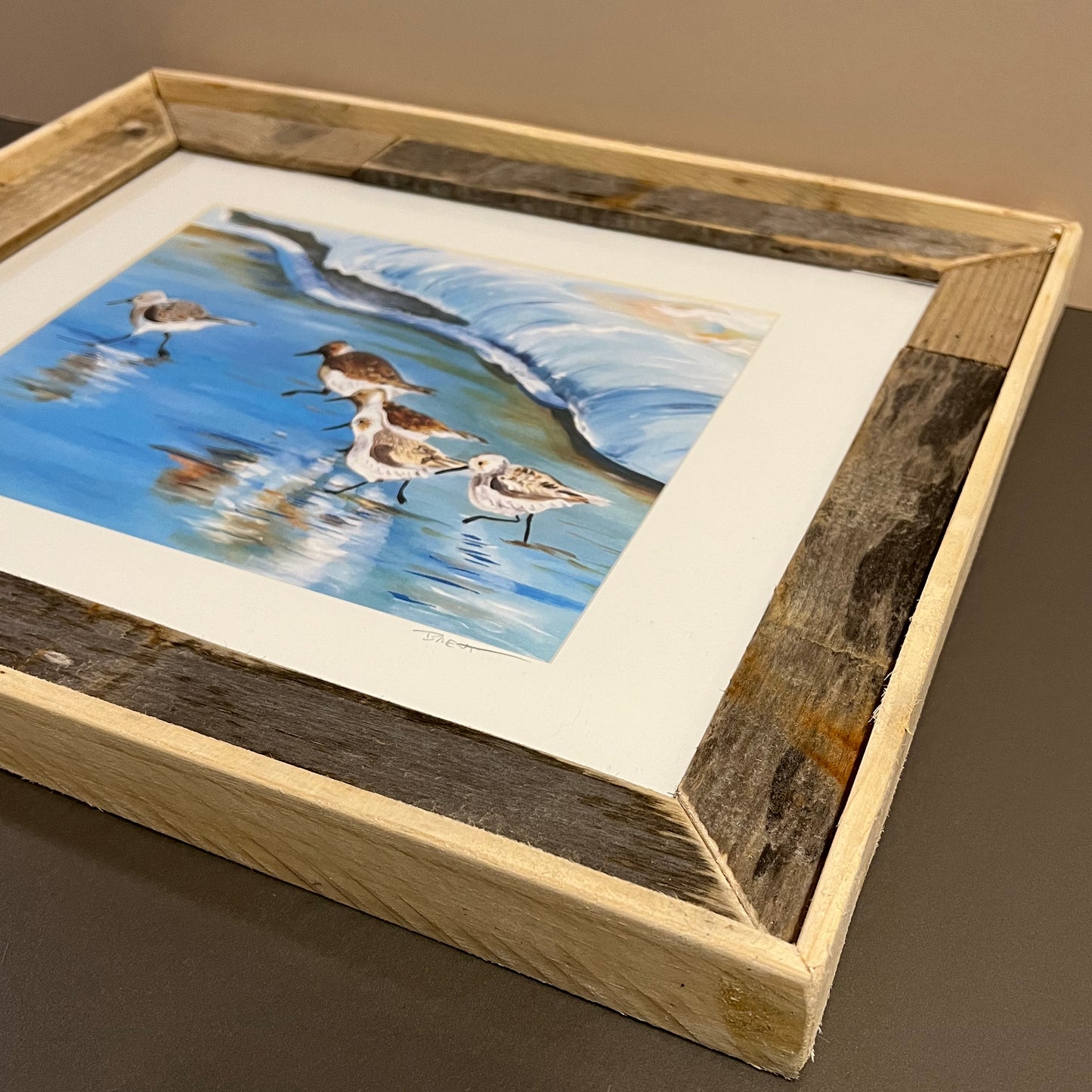 11" x 14" Framed Print: "Shore Birds"