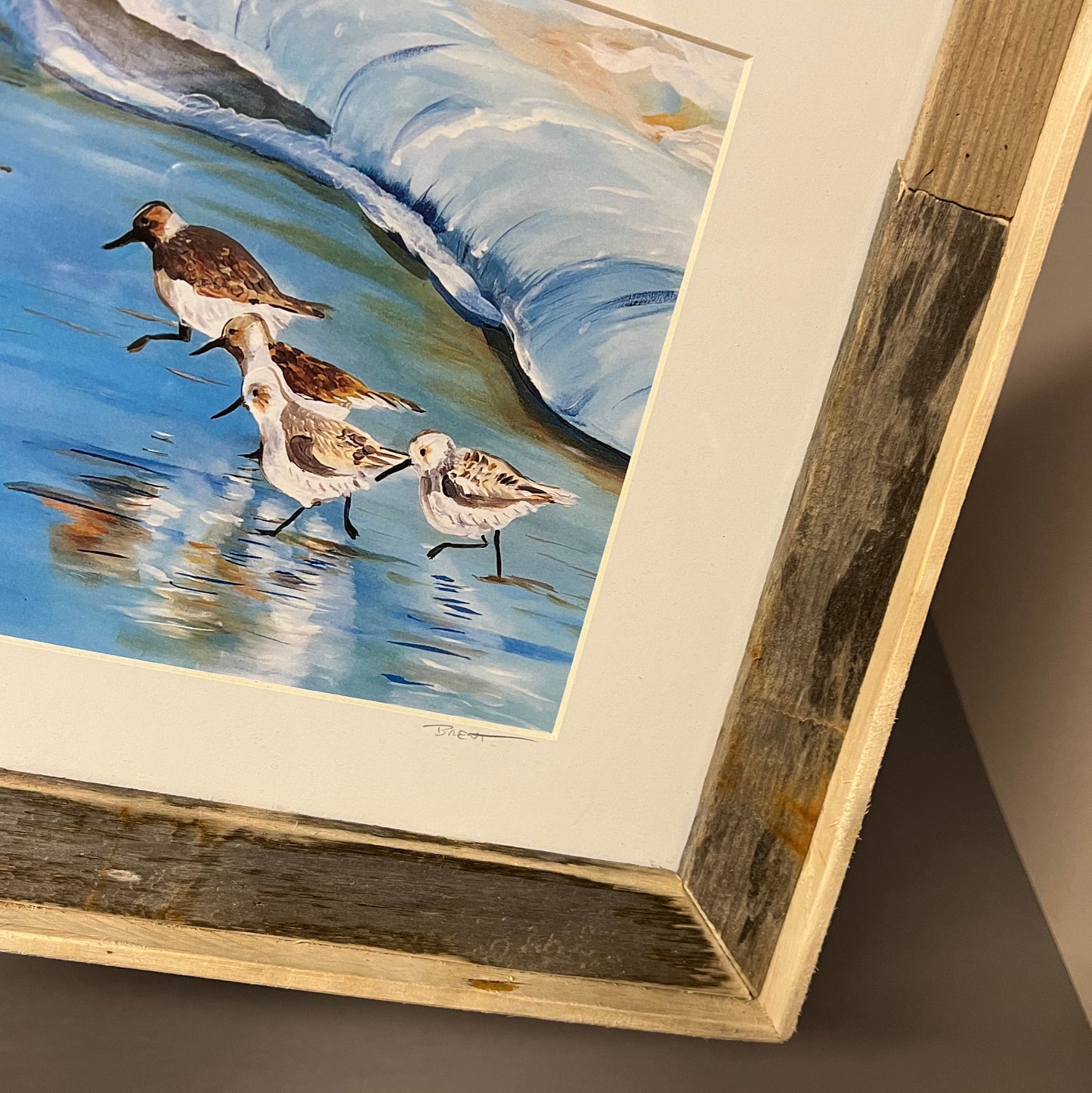 11" x 14" Framed Print: "Shore Birds"