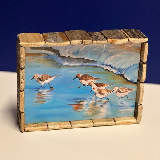 Box Frame Mini - Large: "Shore Birds"