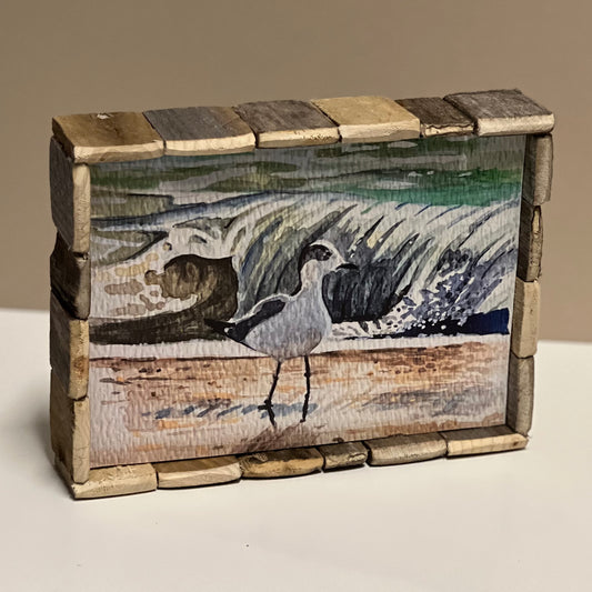 Box Frame Mini - Large: "Solo Seagull"