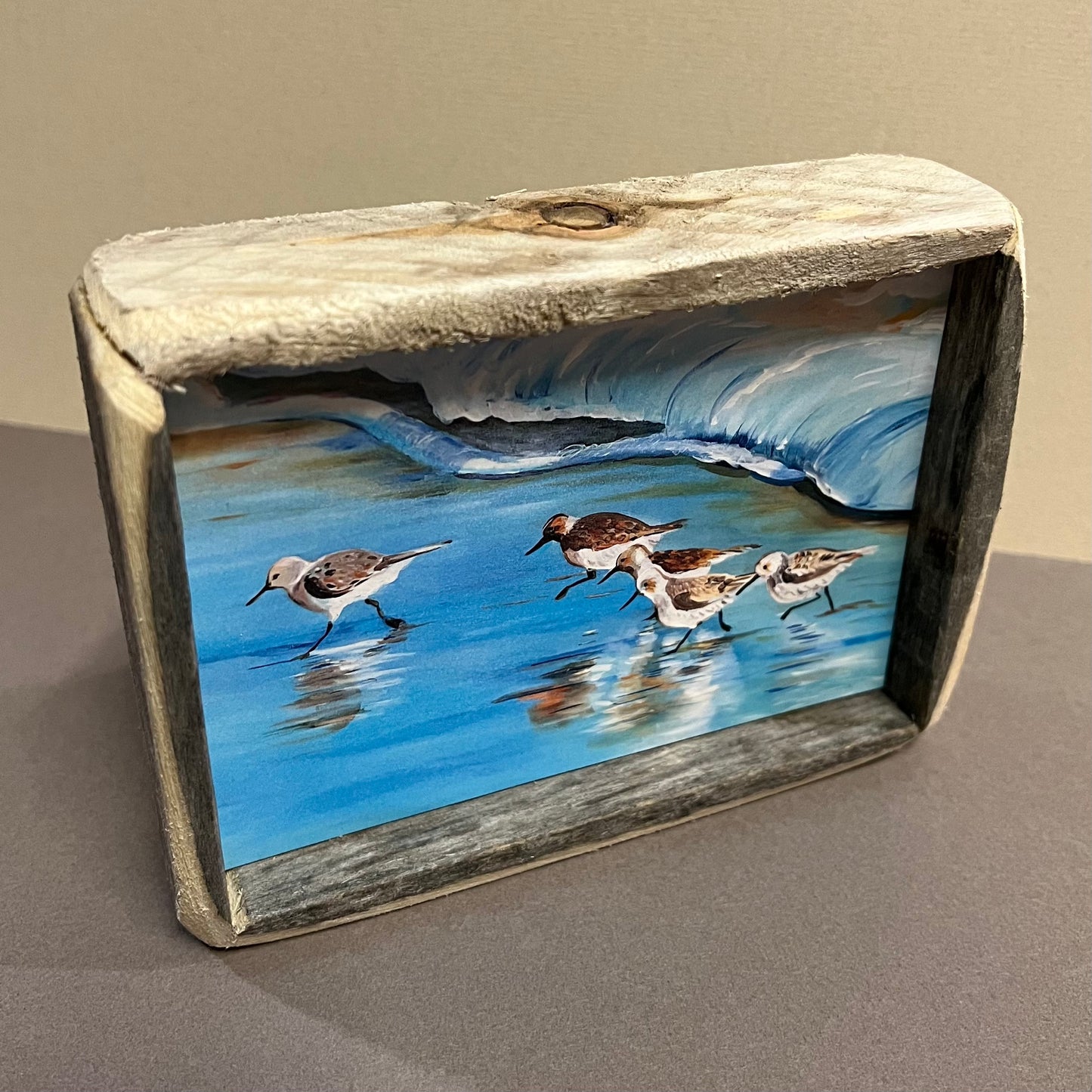 Box Frame Mini - Medium "Shore Birds"