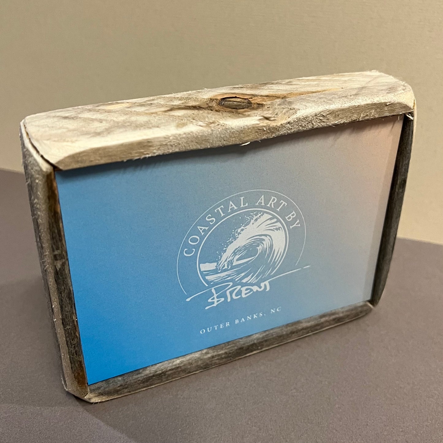 Box Frame Mini - Medium "Shore Birds"