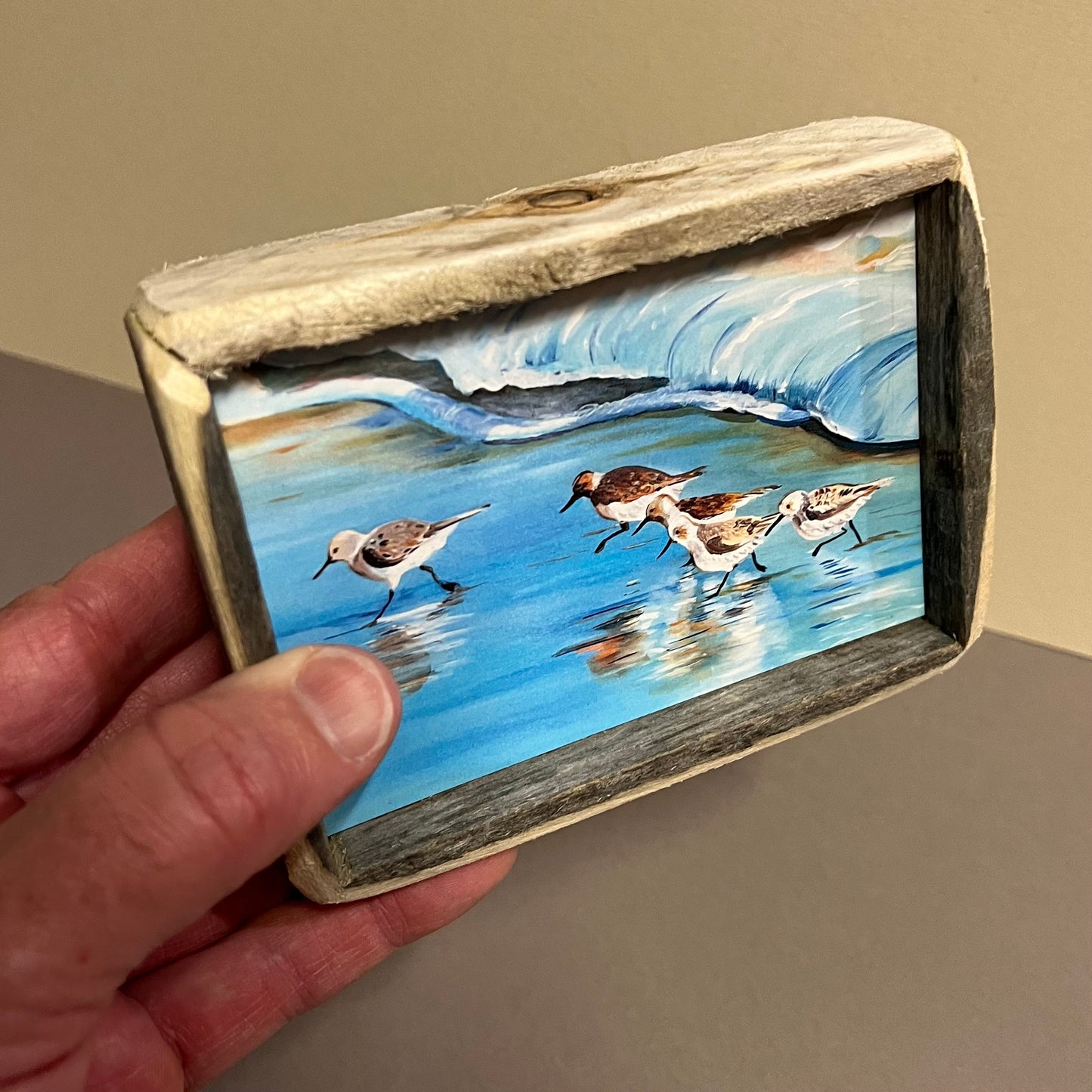 Box Frame Mini - Medium "Shore Birds"