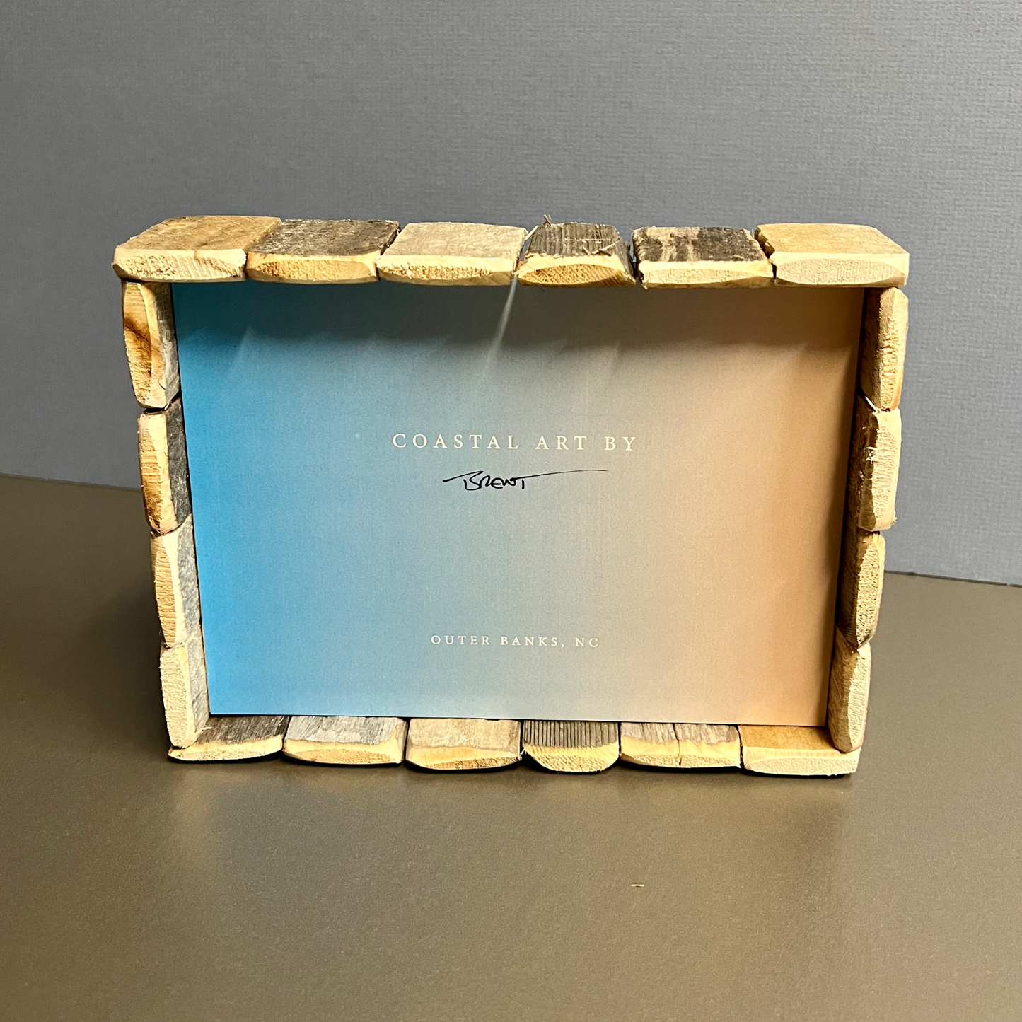 Box Frame Mini - Large: "Shorebirds"