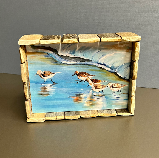 Box Frame Mini - Large: "Shorebirds"