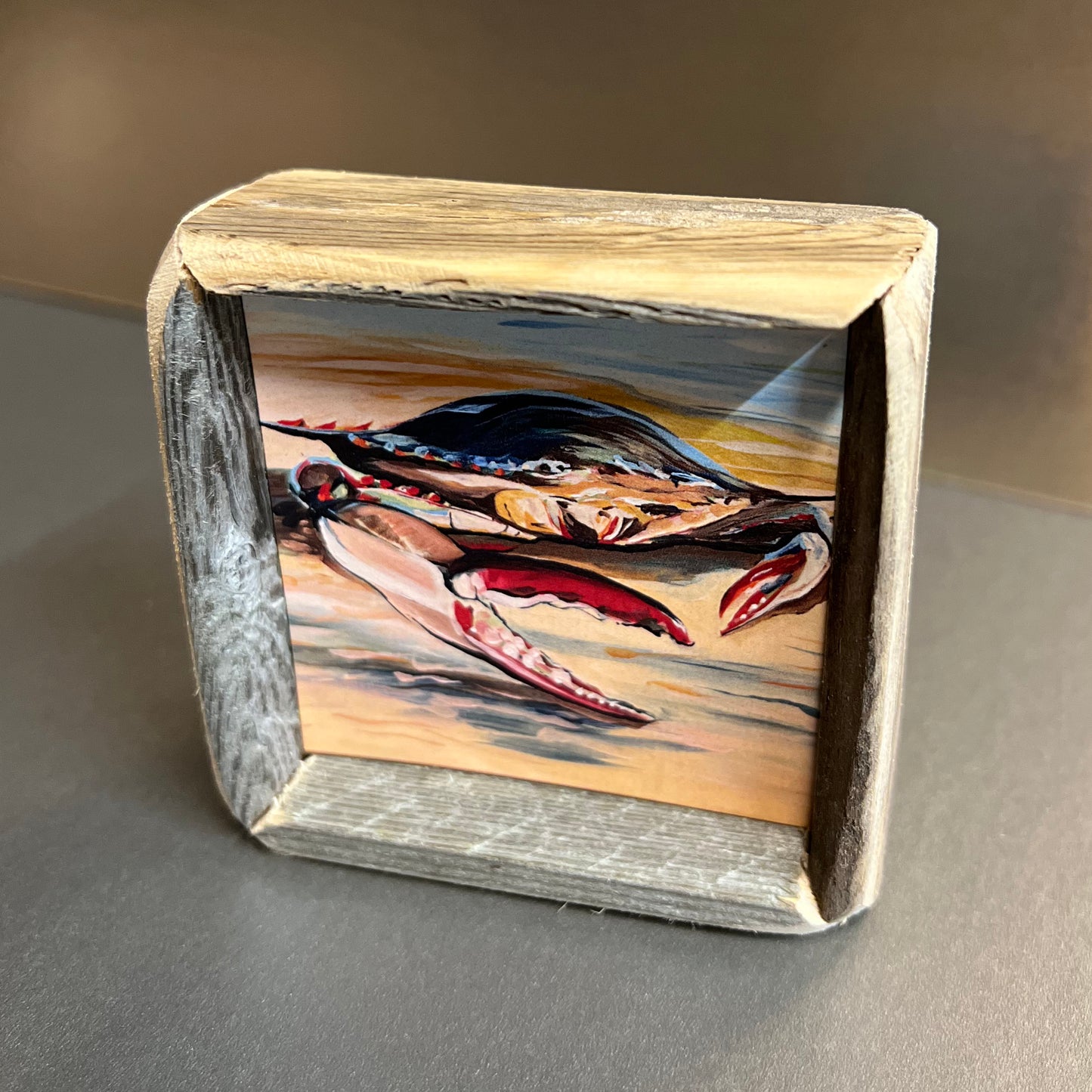 Box Frame Mini - Small "Sanibel Crab"